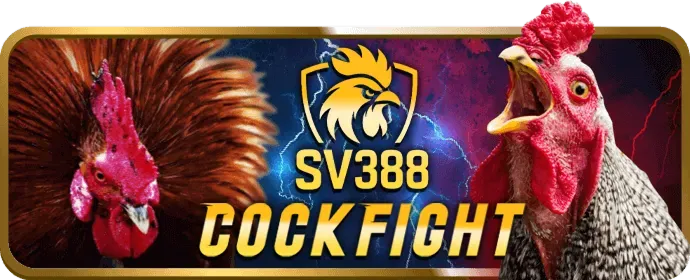 Hỗ trợ khách hàng okking29